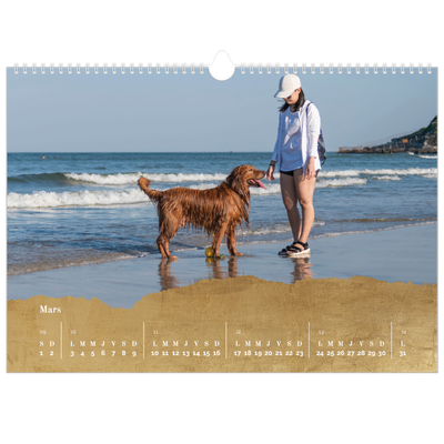 Calendrier photo A3 — Classic Gold [Mars]