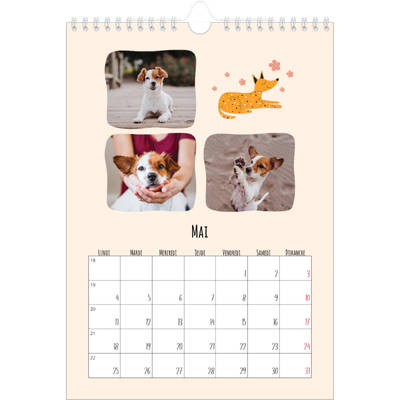 Calendrier photo A4 (20 x 30 cm) — Pattes de chien et gribouillis [couverture]