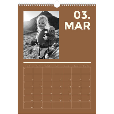 A3 Calendrier annuel — Contemporain audacieux [Mars]