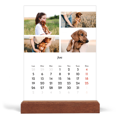 Calendrier de bureau support bois - portrait  — Arrangements photo [couverture]