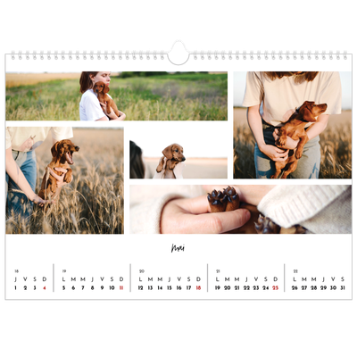 Calendrier photo A3 — Arrangements photo [couverture]