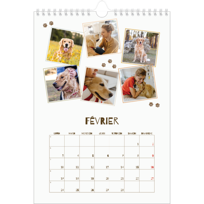 Calendrier photo A4 (20 x 30 cm) — Chiot joueur [Février]