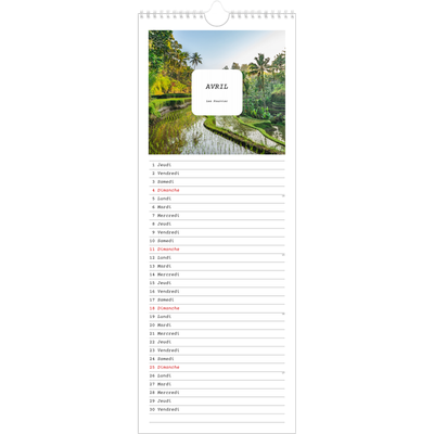 Calendrier mural long  — Toute l'histoire [Avril]