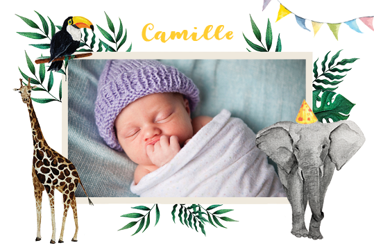 Cartons d'invitation — Safari aquarelle