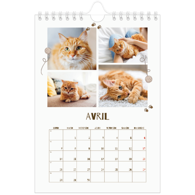 Calendrier photo A5 — Chaton joueur [Avril]