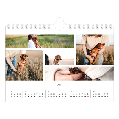Calendrier photo A5 — Arrangements photo [couverture]