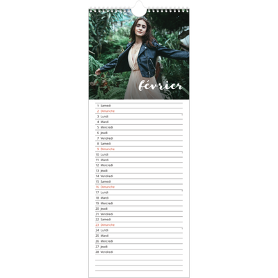 Calendrier mural long  — Superposition pinceau [Février]