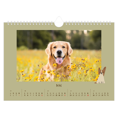 Calendrier photo A4 — Chiot joueur [couverture]