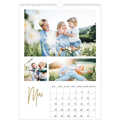 A3 Calendrier annuel — Manuscrit [couverture]