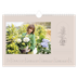 Calendrier photo A4 — Simplement botanique [Mars]