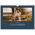 Calendrier photo A3 — Ardoise et sérifs [couverture]