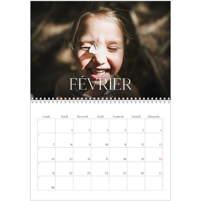 Calendrier photo A4 double (30 x 40 cm) — Douze jolis mois [Février]