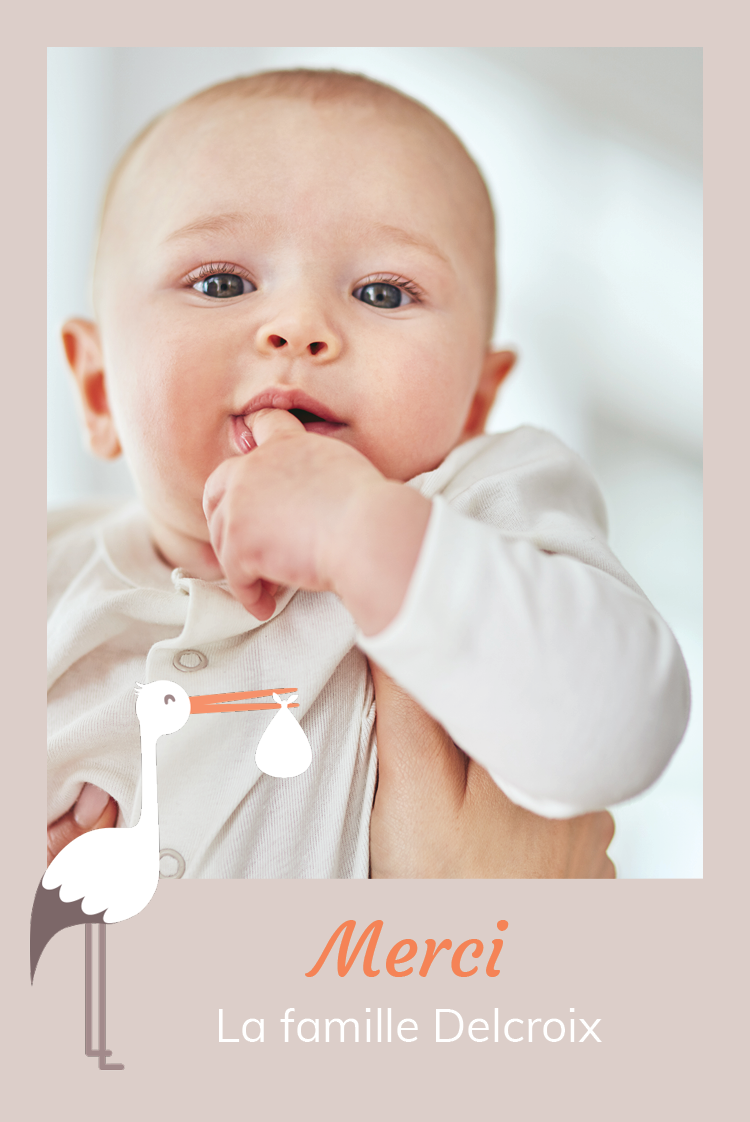 Carte de remerciement — Mon amie la cigogne