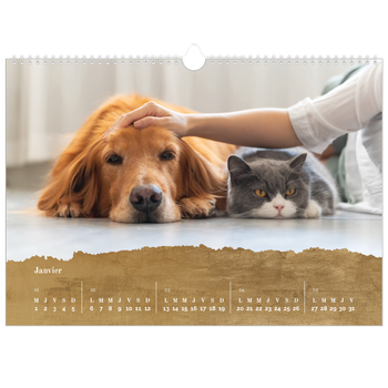 Calendrier photo A3 — Feuille d'or