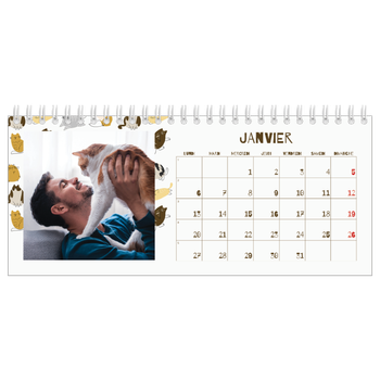 Calendrier de bureau — Chaton joueur