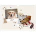 Calendrier photo A3 — Chiot joueur [couverture]