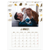 A3 Calendrier annuel — Chaton joueur [Janvier]