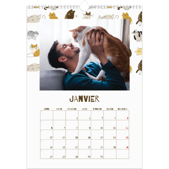 Calendrier photo A3 — Chaton joueur