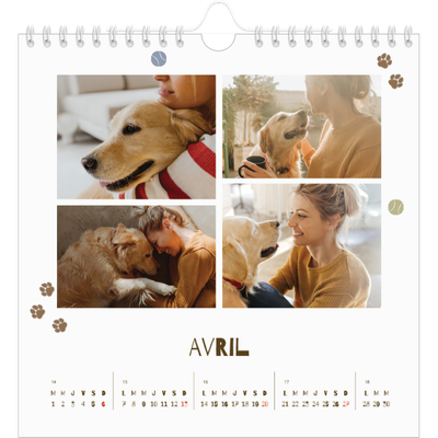Calendriers annuels carré — Chiot joueur [Avril]