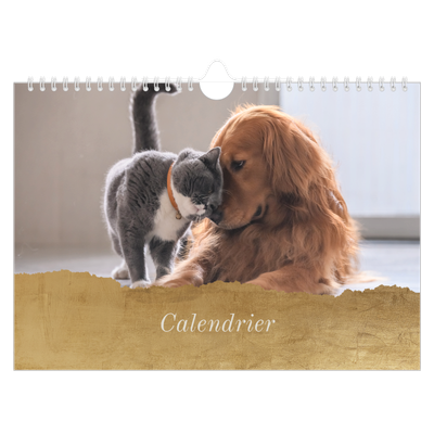 Calendrier photo A4 — Feuille d'or [couverture]