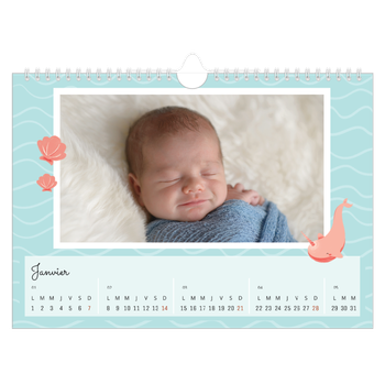 Calendrier photo A4 — Mes petits animaux