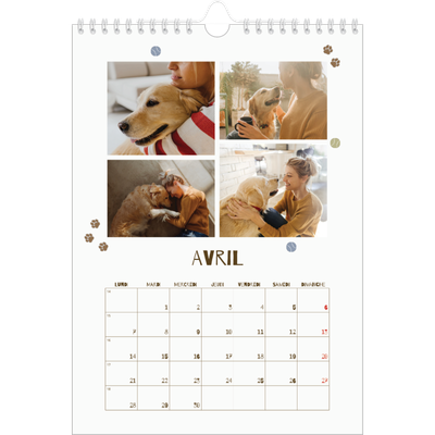 Calendrier photo A4 (20 x 30 cm) — Chiot joueur [Avril]