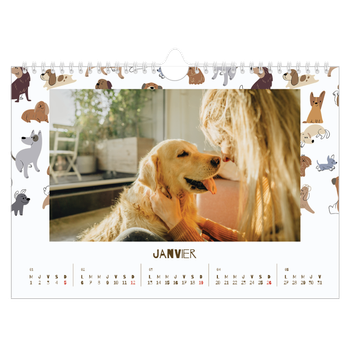 Calendrier photo A4 — Chiot joueur