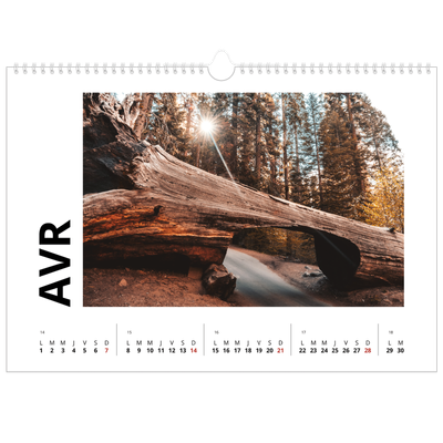 Calendrier photo A3 — Espace blanc [Avril]