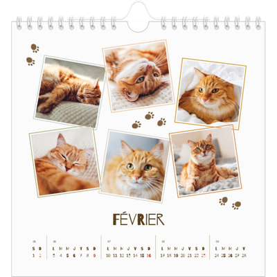 Calendriers annuels carré — Chaton joueur [Février]