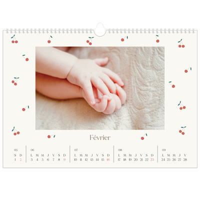 Calendrier photo A3 — Cerise sur le bonheur [Février]