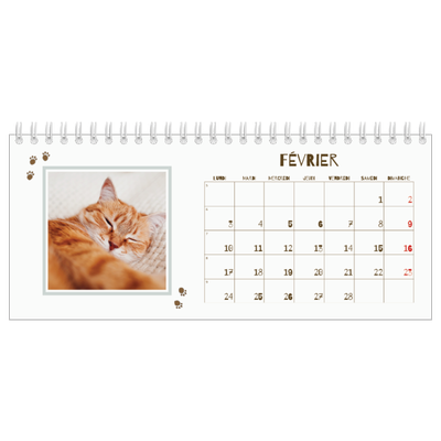 Calendrier de bureau — Chaton joueur [Février]