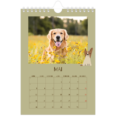 Calendrier photo A5 — Chiot joueur [couverture]