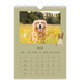 Calendrier photo A5 — Chiot joueur [couverture]